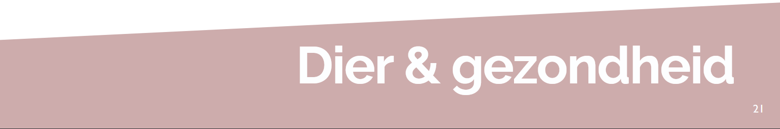 Screenshot 2026 02 03 at 21 07 14 Dier gezondheid 1 pdf