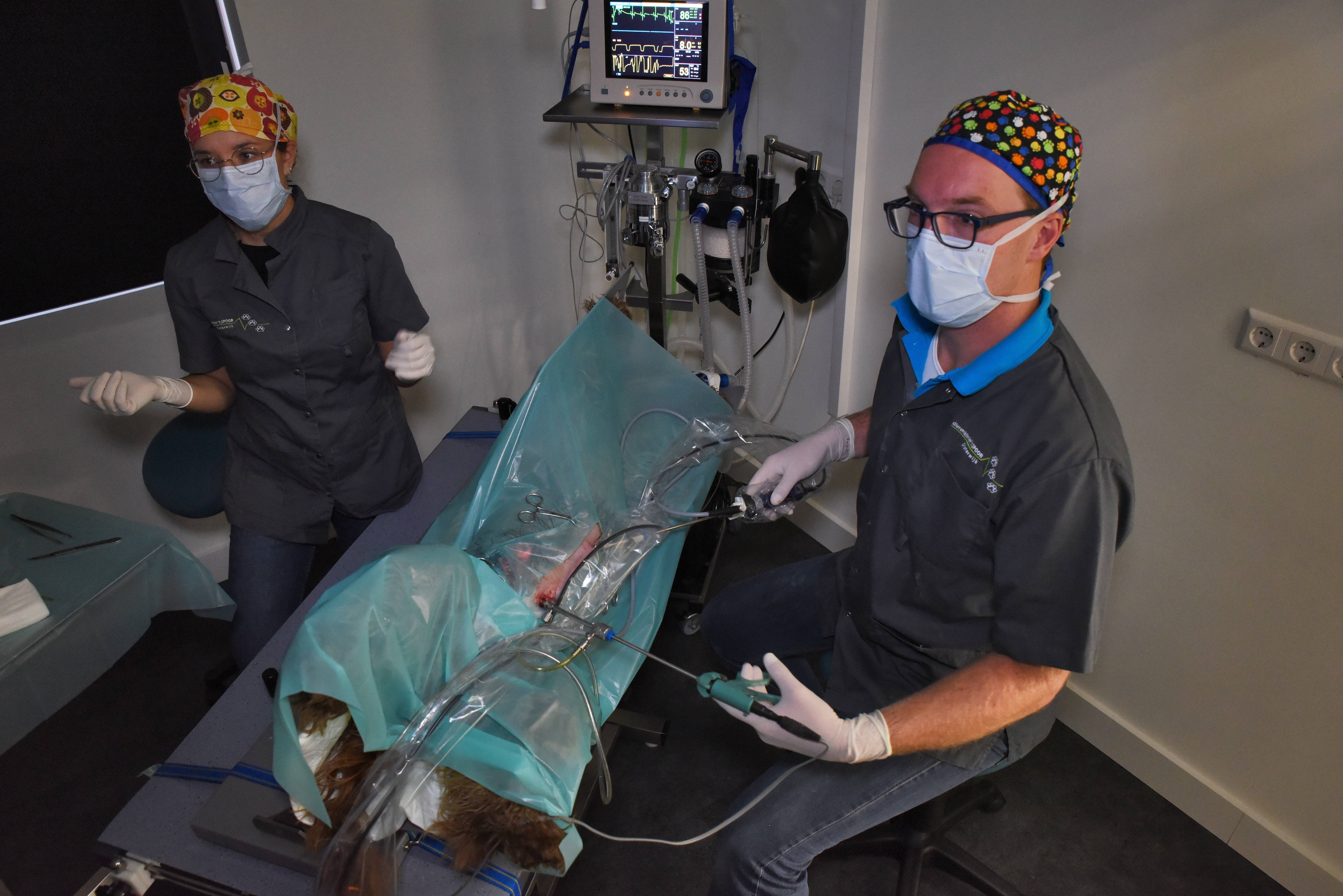 Harm en Kelly operatie