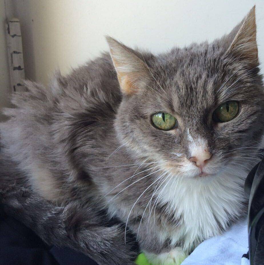 Saar Hyperthyreoidie