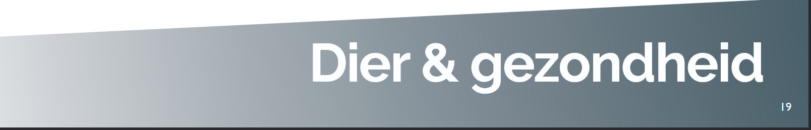 Screenshot 2025 11 24 at 22 08 30 Opvallend De ziekte van addison bij Labradoodles pdf