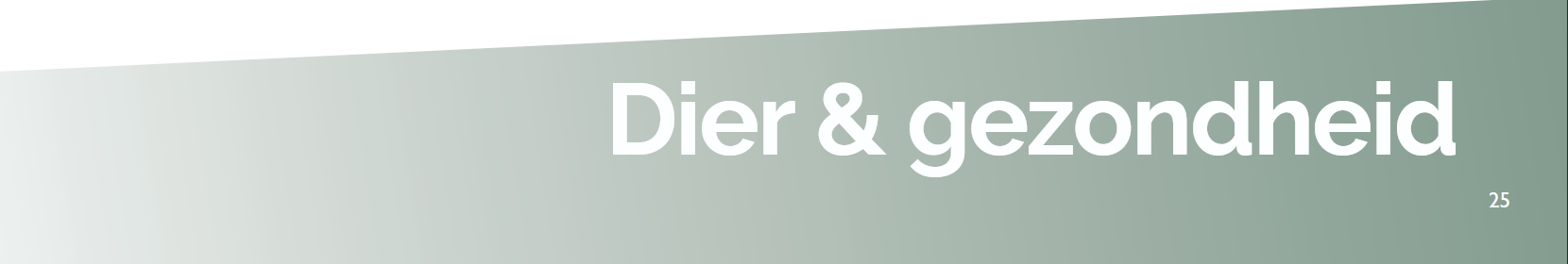 Screenshot 2025 11 24 at 22 26 32 Opvallend de oudere kat pdf