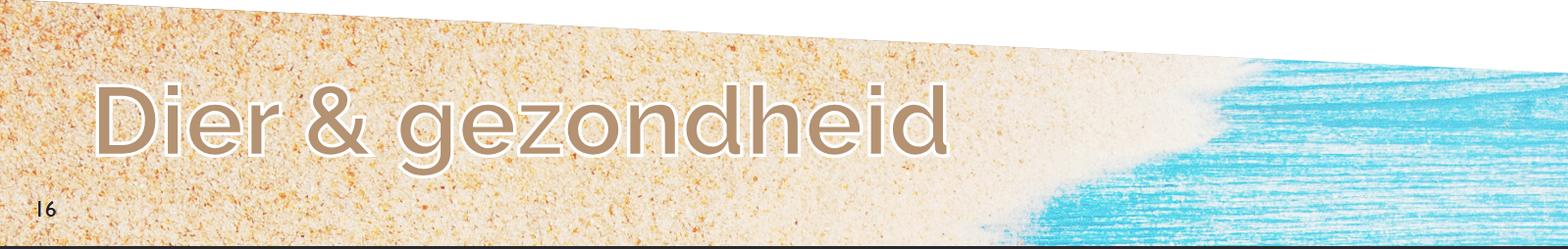 Screenshot 2025 11 24 at 22 33 50 Welke bulten zien we het meest bij honden pdf