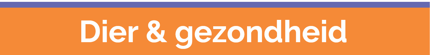 Screenshot 2025 11 24 at 22 43 02 Het is weer vakantie tijd pdf