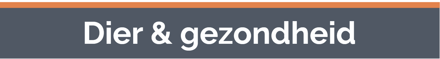 Screenshot 2025 11 24 at 22 51 56 Opvallend Blaasontsteking bij de kat pdf