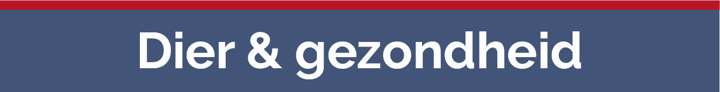 Screenshot 2025 11 25 at 07 52 56 Hé Bah Mijn hond eet poep pdf