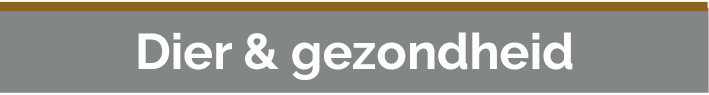 Screenshot 2025 11 25 at 08 01 52 E C bij een konijn pdf