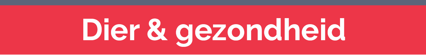 Screenshot 2025 11 25 at 08 20 41 Het geriatrisch vestibulair syndroom pdf