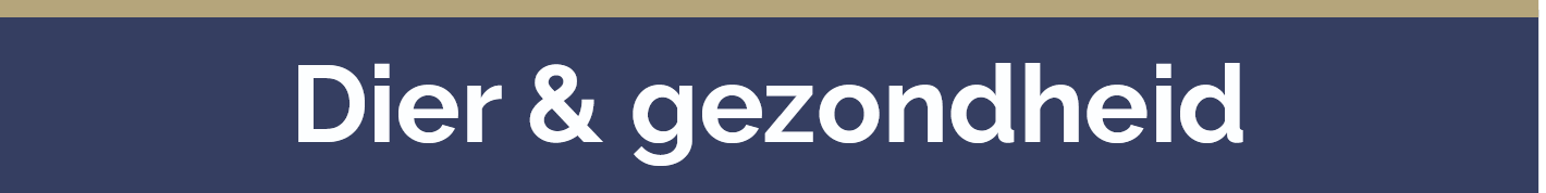 Screenshot 2025 11 25 at 08 34 23 Teken hebben meer bij zich pdf