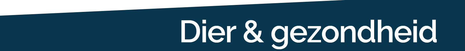 Screenshot 2025 12 13 at 07 22 46 Het is weer zover de jaarwisseling staat voor pdf