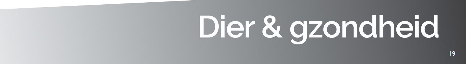 Screenshot 2025 11 12 at 23 15 11 Dier gezondheid pdf