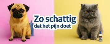 Zo schattig dat het pijn doet