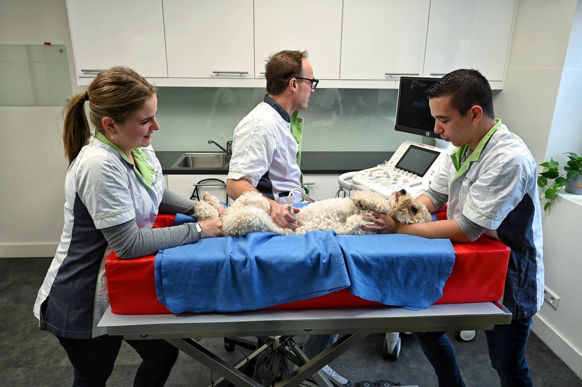 Jasmijn, Harm, Niels Echo