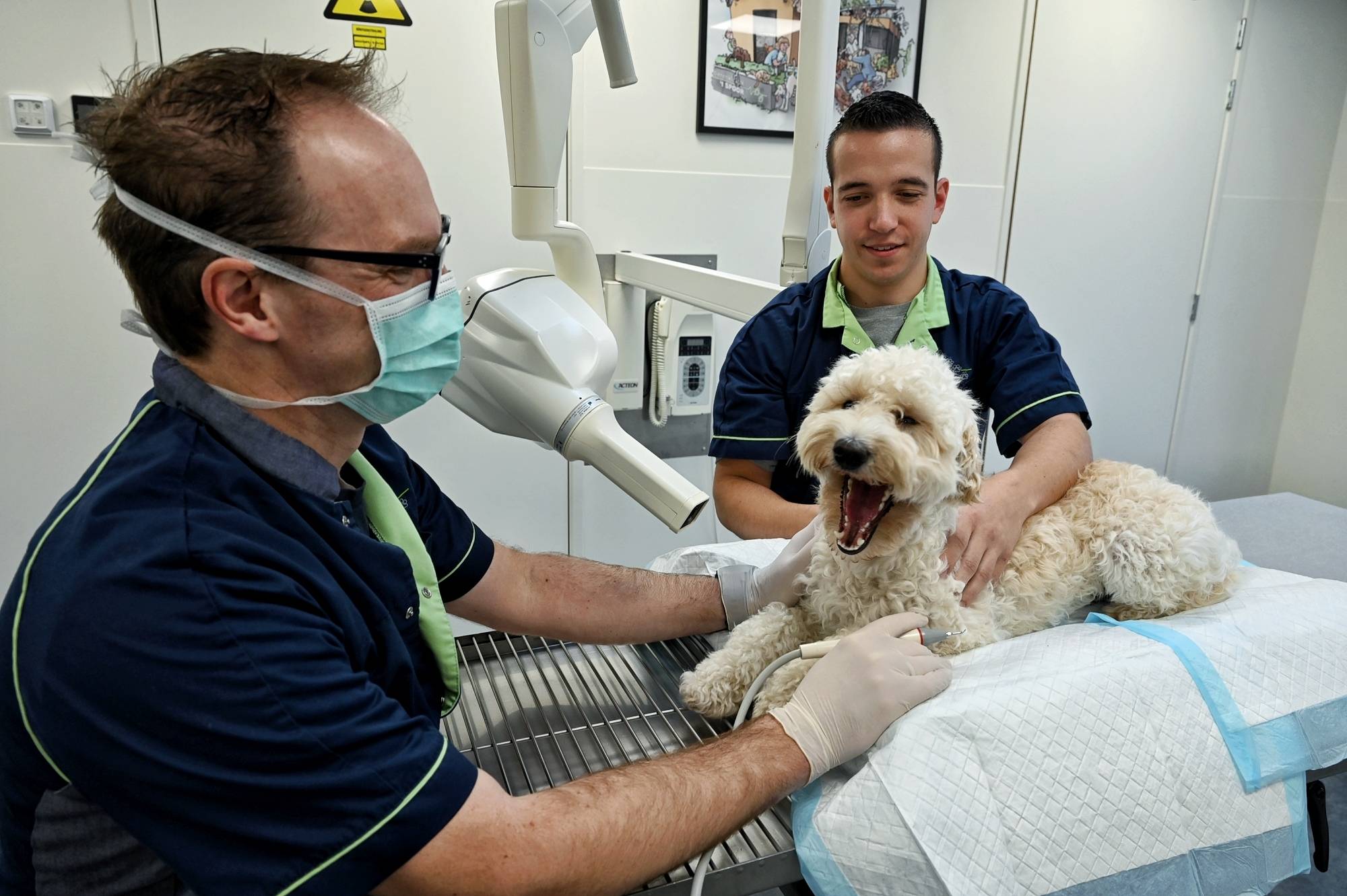 Harm en Niels Tandheelkunde